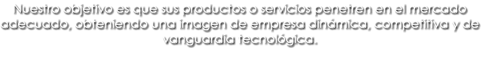 Nuestro objetivo es que sus productos o servicios penetren en el mercado adecuado, obteniendo una imagen de empresa dinámica, competitiva y de vanguardia tecnológica. 